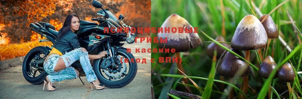spice Горно-Алтайск