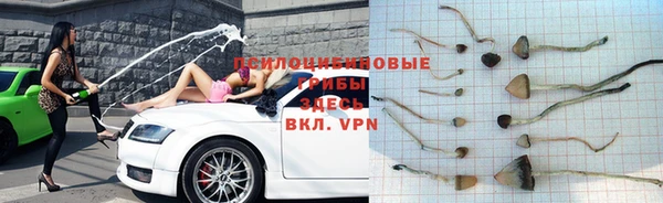 гашик Горнозаводск