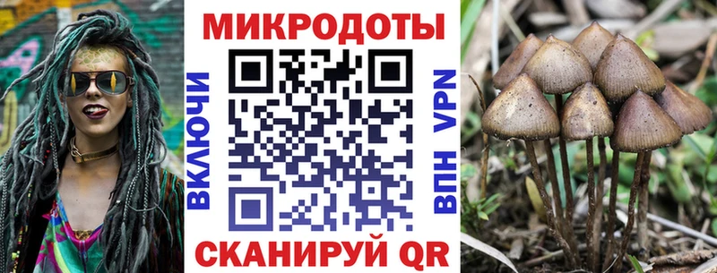 Галлюциногенные грибы мухоморы  Новосокольники 