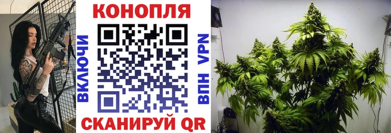 Бошки марихуана VHQ  Новосокольники 